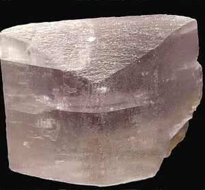 ISACAR PIZZA BERENJENA STACC