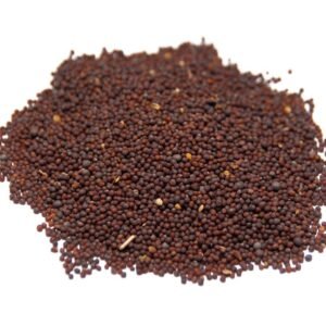 EL FUERTE MOSTAZA EN GRANO