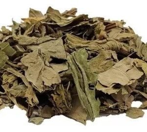 YUYO LLANTEN GRANEL X50GR