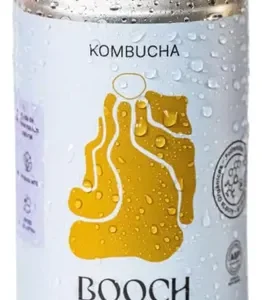 BOOCH KOMBUCHA JENG/ALOYSIA