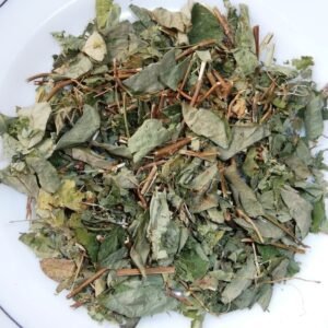 YUYO EUCALIPTO GRANEL