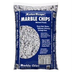 MARBE GALL SAZU CHIPS