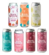 BRAVIA KOMBUCHA VARIOS SABORES