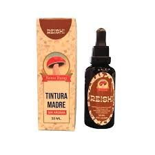 FUNGI NATUR TINTURA REISHI