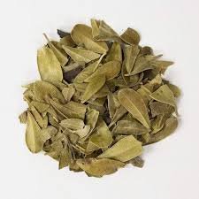 HIERBA UVA URSI GRANEL X50GR