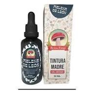 FUNGI NATUR MELENA DE LEON