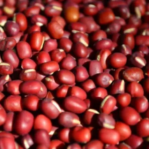 POROTOS ADUKI GRANEL X250GR