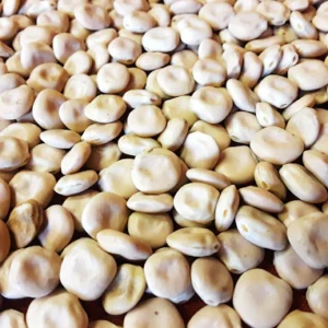 POROTOS LUPINES GRANEL X250GR