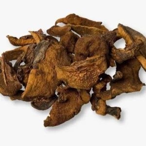 HONGOS DE PINO GRANEL X50GR