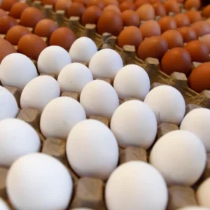 HUEVOS DE CAMPO MEDIO MAPLE (15 UN)