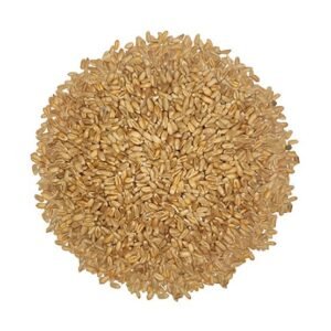 TRIGO EN GRANO GRANEL X250G